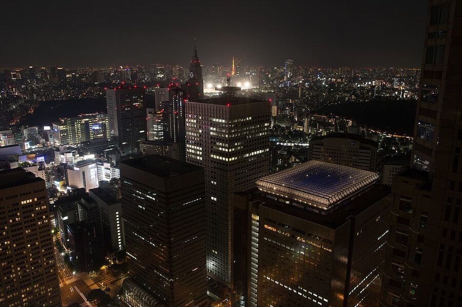 View from Tokyo Metropolitan Government observation deck