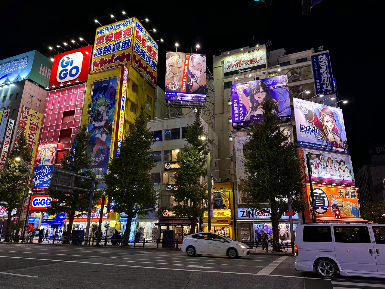 Akihabara Electric Town at night