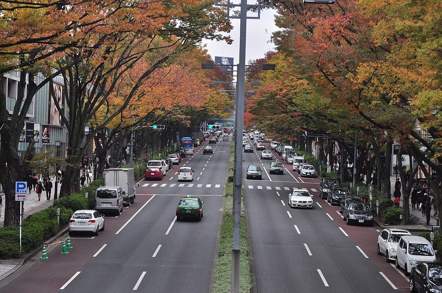 Omotesando tree-lined avenue Harajuku with zelkova trees