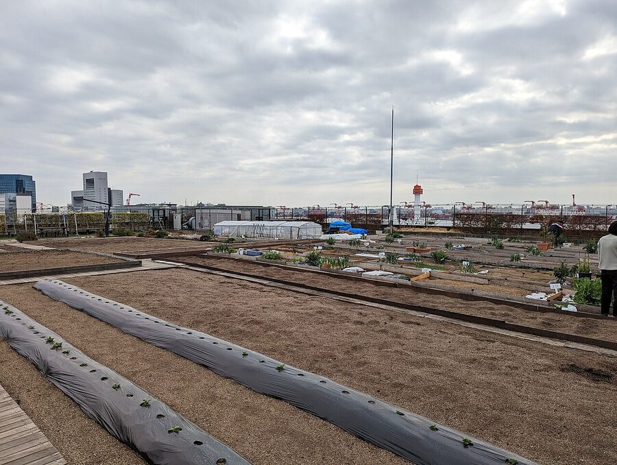 DiverCity Tokyo Plaza Odaiba