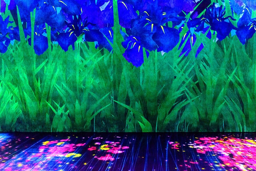 teamLab Borderless Odaiba installation