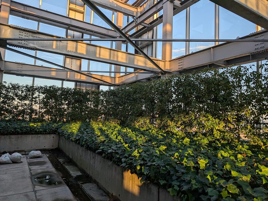 Rooftop area of Shibuya Stream