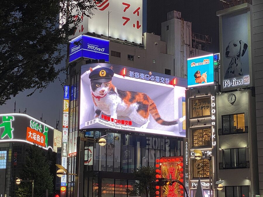 3D cat on Cross Shinjuku Vision billboard