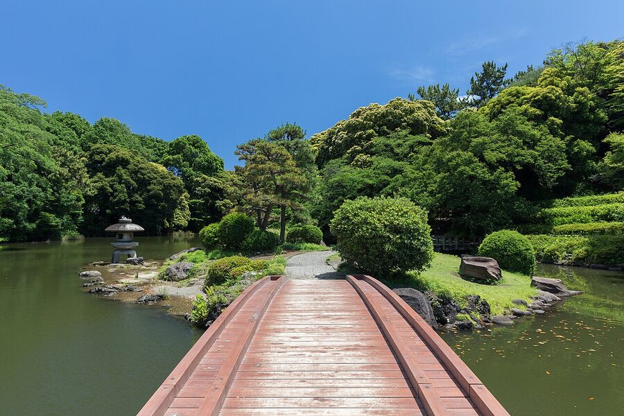 Wooden footbridge in Shinjuku Gyoen