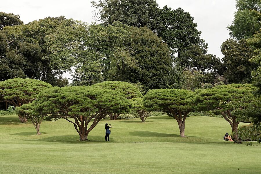 Shinjuku Gyoen garden Tokyo