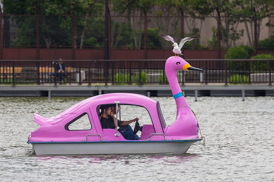 Ueno Park Shinobazu Pond with swan boats