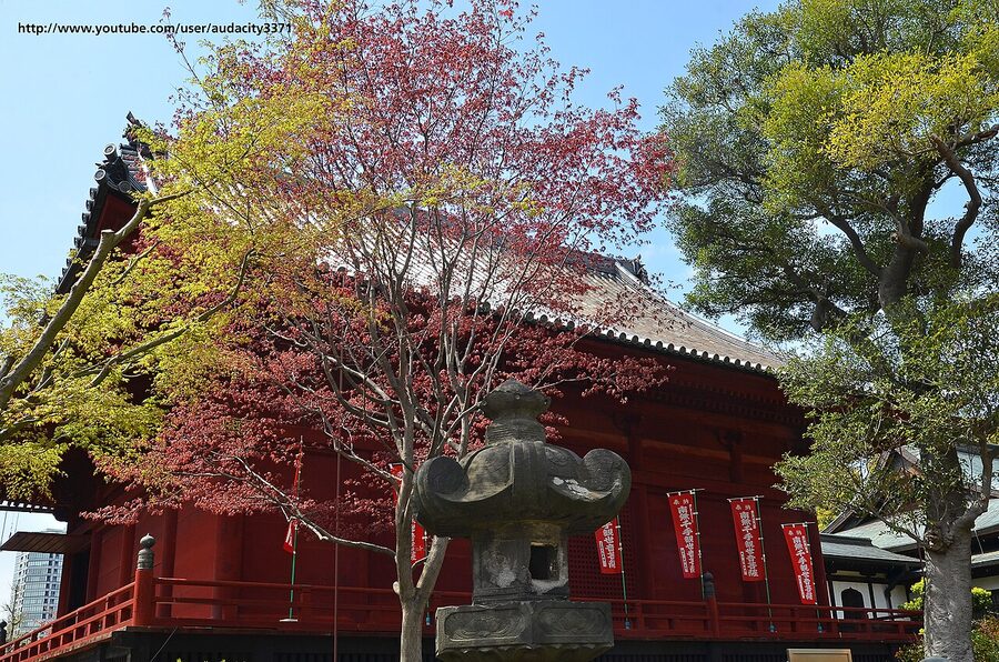 Kiyomizu Kannon-do temple stage overlooking Ueno Park