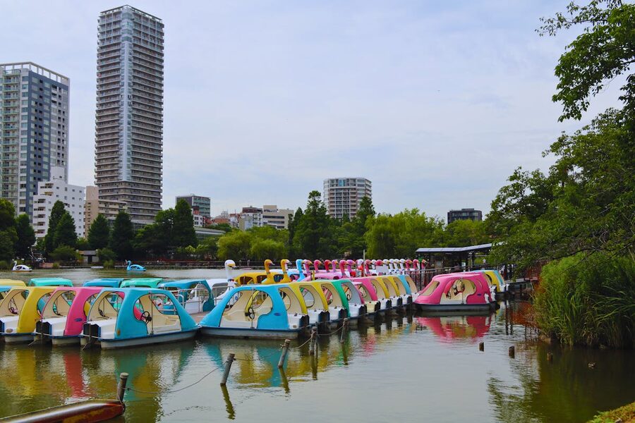 Colourful pedal swan boats moored at Shinobazu Pond in Ueno Park