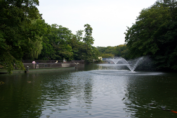 Inokashira Park Mitaka