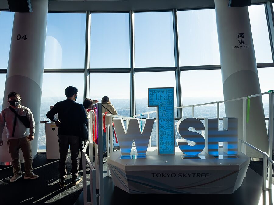 Skytree Tembo Deck interior