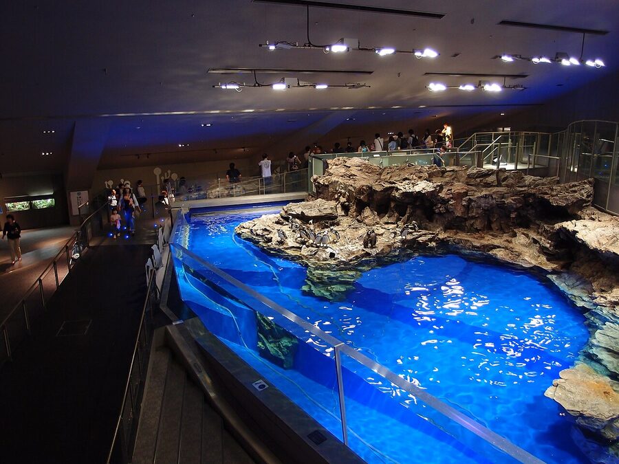Sumida Aquarium in Skytree Town