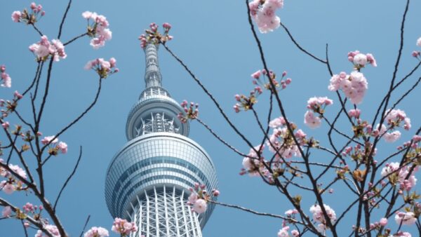 Tokyo Skytree white coler inspired by the lightest shade of traditional indigo dying